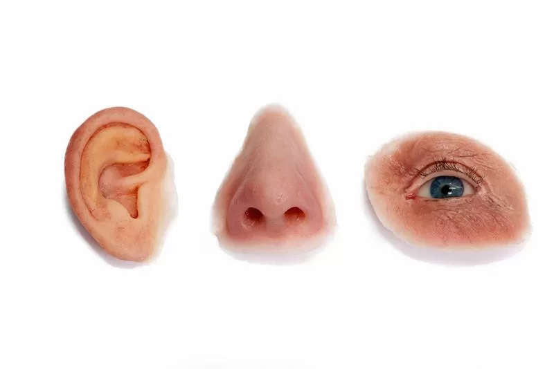 Maxillofacial Prosthodontist